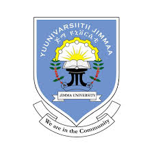 Jimma university